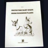 Protecting Dairy Goats From Poisons