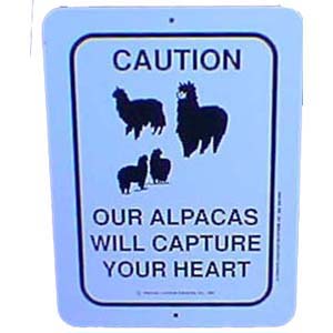 Sign Alpacas Capture Heart