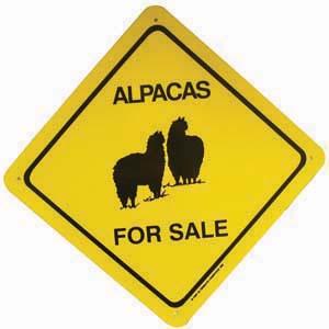Sign Alpacas For Sale