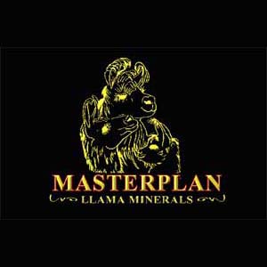 Master Plan Llama Minerals