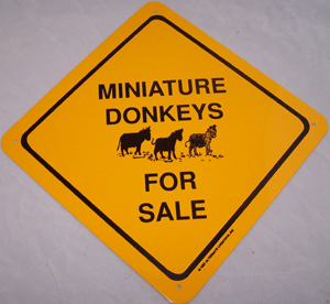Sign Donks For Sale