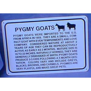 Sign Info Pygmy Goat