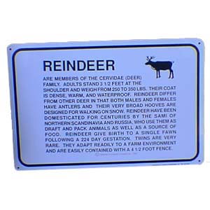 Info Sign Reindeer