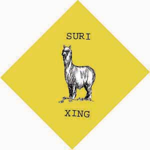 Suri Xing