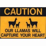 Sticker Capture Heart Llama