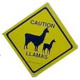Sign Caution Llamas