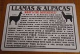 info sign llamas vs alpacas