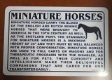 Mini Horse Info
