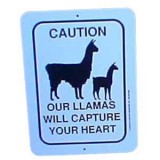 Sign Llamas Capture Heart