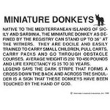 Mini Donk Info