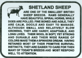 Shetland Sheep Info Sign