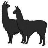 Stick-Up:  2 Llamas