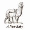 Birth Announcements Alpaca 8 Pk