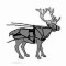 Reindeer Harness With Britching